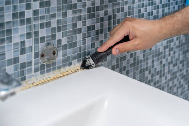 Best Mold Removal Specialists  in Hoschton, GA