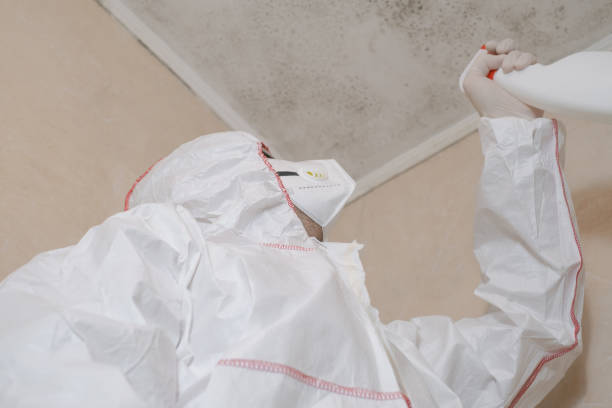Water Damage Restoration in Hoschton, GA