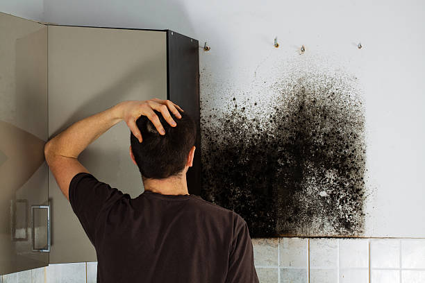 Best Mold Testing  in Hoschton, GA